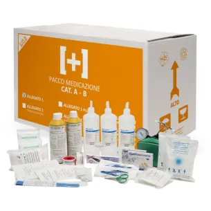 Ricarica Cassetta del Pronto Soccorso (Oltre 2 Addetti - All. 1) | Codice 9601-NS 2