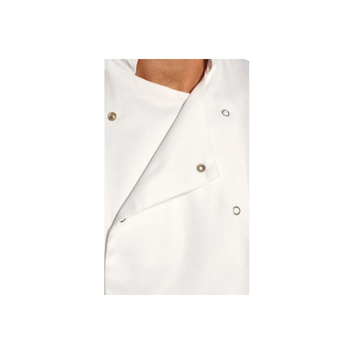 Giacca Bianca Da Chef A Manica Corta Modello Cumbria | Codice C733B