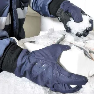 Guanti Da Cella Frigorifera Cofra Tundra Cat II | Fino a -30 °C | Codice G114-D100